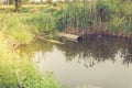 Ecology subject: sewer pours out waste to the lake/sewer pipe pour out to the lake Royalty Free Stock Photo