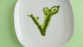 Ecology symbol on a plate with green sauce. vegetarian sign drawn with sauce on a plate in the form of a branch and a