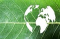 Ecology and think green concept of world map on fresh green leaf