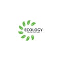 Ecology Tree Leaf Logo Template Royalty Free Stock Photo