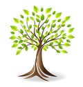 Ecology tree vector