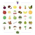 Ecology, vitamins, fruit and other web icon Royalty Free Stock Photo