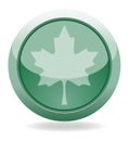 Ecology web push button icon. Royalty Free Stock Photo