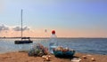 Ecology Wonderful world Wild flowers fresh water in clean Baltic Sea seashell on rock i blue glass cup and bott