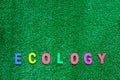 ECOLOGY wooden word on the plastic artificial green grass background Royalty Free Stock Photo