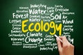 Ecology word cloud collage Royalty Free Stock Photo