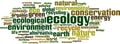 Ecology word cloud Royalty Free Stock Photo