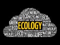 Ecology word cloud, conceptual background Royalty Free Stock Photo