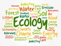 Ecology word cloud, conceptual collage background Royalty Free Stock Photo