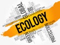 Ecology word cloud, conceptual background Royalty Free Stock Photo