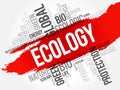 Ecology word cloud Royalty Free Stock Photo