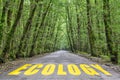 Jungle road to ecology Royalty Free Stock Photo