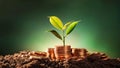 Economic Growth Concept: Money and Nature in Harmony Royalty Free Stock Photo