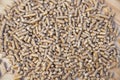 Wood pellets for wood stove close up background Royalty Free Stock Photo