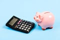 Economics and business administration. Piggy bank money savings. Investing gain profit. Piggy bank pig and calculator Royalty Free Stock Photo
