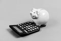 Economics and business administration. Piggy bank money savings. Piggy bank pig and calculator. Credit debt concept Royalty Free Stock Photo