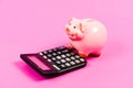 Economics and business administration. Piggy bank money savings. Piggy bank pig and calculator. Credit debt concept Royalty Free Stock Photo