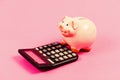 Economics and business administration. Piggy bank money savings. Piggy bank pig and calculator. Credit debt concept Royalty Free Stock Photo