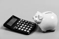 Economics and finance. Economics and business administration. Piggy bank money savings. Investing gain profit. Piggy Royalty Free Stock Photo