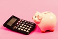 Economics and finance. Economics and business administration. Piggy bank money savings. Investing gain profit. Piggy Royalty Free Stock Photo