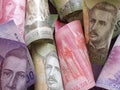 economy and finance with chilean money