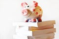 Economy and finance - savings in a piggy bank for education and