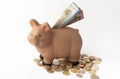 Economy money europe in piggy bank Royalty Free Stock Photo