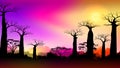 Baobab trees in Africa savanna landscape at Sunset with Colorful gradient sky Royalty Free Stock Photo