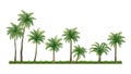 Coconut Palm tree collections element set