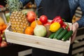 A set of fresh vegetables and fruits in a box, which the man holds in his hands Royalty Free Stock Photo