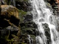 Ecoregion with the greatest biodiversity in Argentina