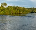 Ecoregion with the greatest biodiversity in Argentina