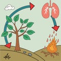 Ecosystem carbon cycle representation featuring tree, human lungs, and fire Royalty Free Stock Photo