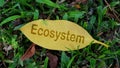 Ecosystem concept to raise awareness
