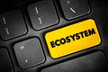 Ecosystem - consists of all the organisms and the physical environment with which they interact, text button on keyboard, concept Royalty Free Stock Photo