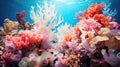 ecosystem coral