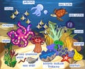 Ecosystem of coral reef with different marine inhabitants with titles