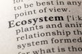 Definition of the word ecosystem Royalty Free Stock Photo