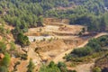 Ecosystem restoration. Reforestation in former open pit mine area in Cyprus