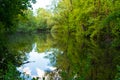 Ecosystems of land standing water, lake, wildlife, water, aquatic ecosystems, pebbles, Lakes, ponds and swamps Royalty Free Stock Photo