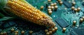 Ecotech harmony corn cob resting on green motherboard Royalty Free Stock Photo