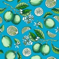 Ecotic plants seamless pattern. Citrus fruit sketches. Botanical background. Citrus fruit texture. Hand drawn vector illustration