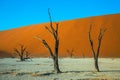 Ecotourism in dried lake Deadvlei Royalty Free Stock Photo