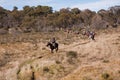 Ecotourism horse riders on trail Royalty Free Stock Photo