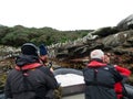 Ecotourists on The Snares, Subantarctic New Zealand