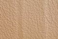 The ecru color beige leather sample . Abstract background with copy space, top view