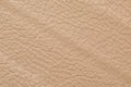 The ecru color beige leather sample . Abstract background with copy space, top view