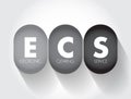 ECS Electronic Clearing Service - method of effecting bulk payment transactions, acronym text concept background