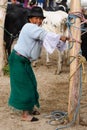 Ecuador, Ethnic latin woman Royalty Free Stock Photo