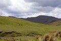 Ecuadorian Cowboy 840060 Royalty Free Stock Photo